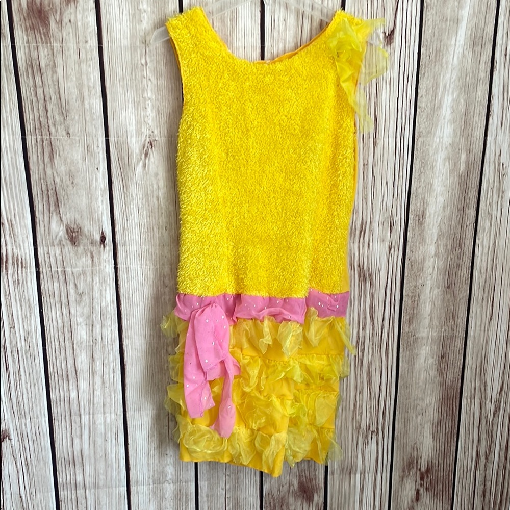 *Adult Women’s Big Bird Inspired Flapper Style Pink and Yellow Costume Dress